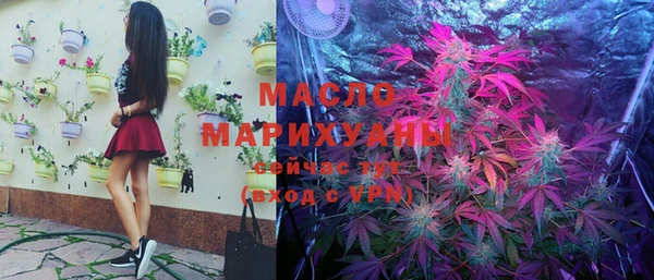 2c-b Бородино