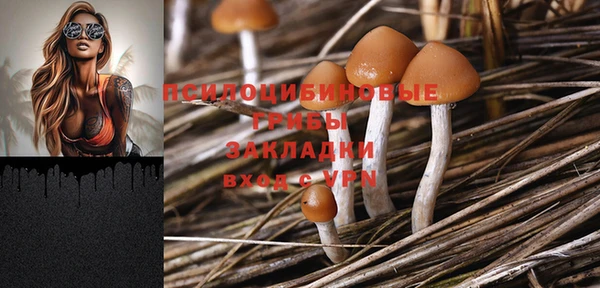 2c-b Бородино