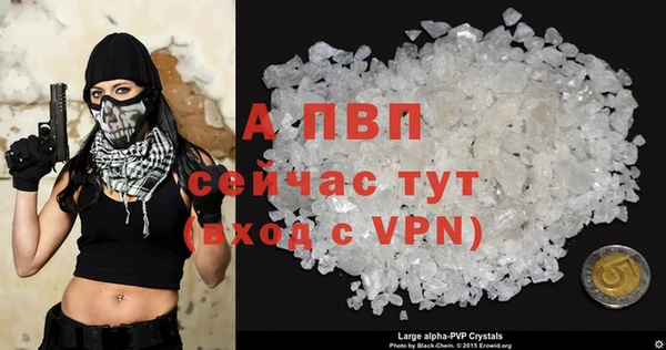 2c-b Бородино